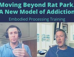 moving beyond rat park a new model