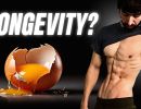 the sugar diet protein restriction67