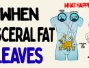 what happens to your body when