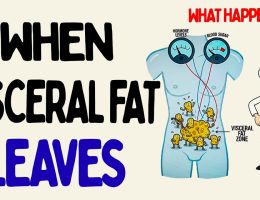 what happens to your body when