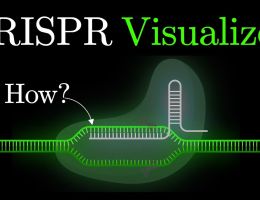 but what is crispr cas9 an