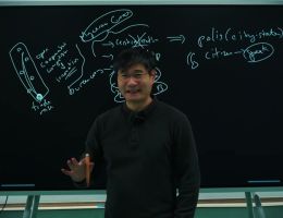 secret history the big bang of
