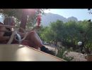 hummingbirds
